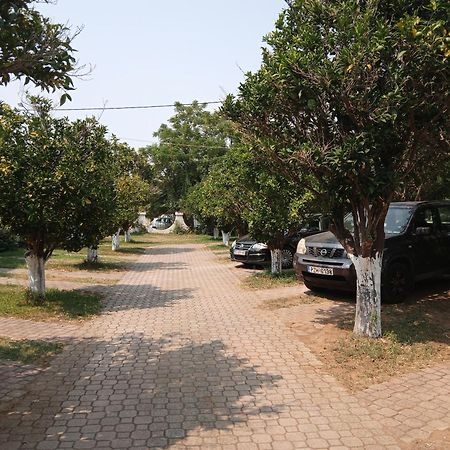 Pension Alexandros Preveza Bagian luar foto