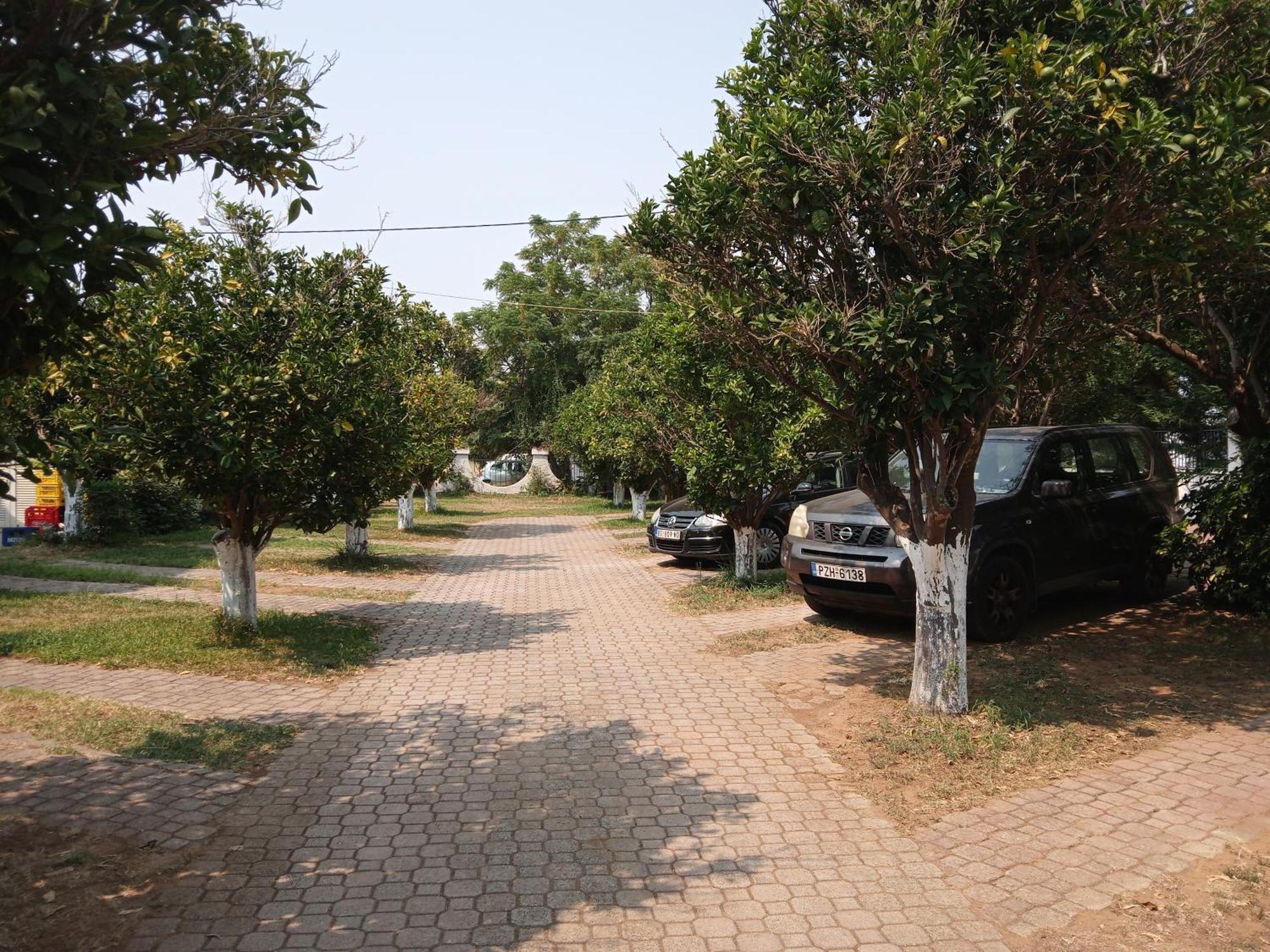 Pension Alexandros Preveza Bagian luar foto